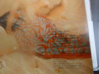 ６　６　稲尾律子写真集　eternity　野村誠一撮影　