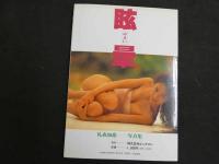 ４　5　礼森加恋写真集　眩暈　撮影/瀬古正二