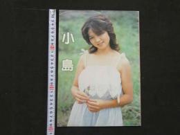 ８　小島