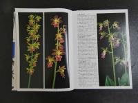 日本エビネ花譜VOL.１～VOL.４