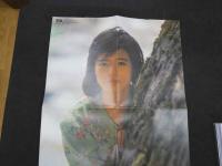 ６　４　写楽　1981年9月号　ポスター付　杉田かおる/平地勲　小学館