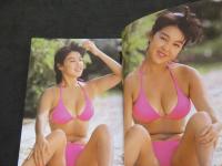 ８　②マドンナメイト写真集　堀江しのぶ