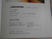 ２　5　山崎真由美写真集　～もっと大胆に！もっとSEXYに！～　斉木弘吉／撮影