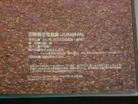 ６　5　石野敦子写真集　JUNSHIN　武藤義撮影　1997年初版