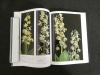 ４　5　続・日本エビネ花譜　Vol.1　西日本編Ⅰ　写真・文／高橋勝雄