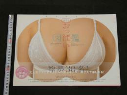 ４　原寸大　おっぱい図鑑