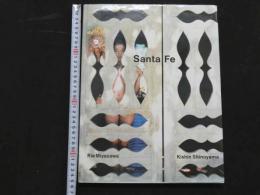 ８　宮沢りえ　Santa Fe　ポストカード3枚付