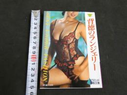 ８　背徳のランジェリー　SEXY UNDER FASHION