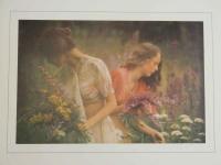 ８　SOUVENIRS BY DAVID HAMILTON　1974年　デビッド・ハミルトン　ポートフォリオ　全55枚　1枚サイン入り