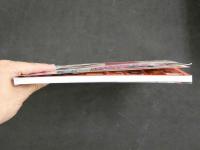 ４　別冊投稿キングDVD　興奮を抑えきれず息を荒げる素人投稿動画を厳選して収録！