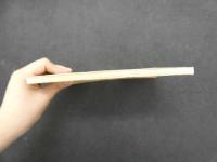 ６　5　蝦夷痘黴史考　和装本　1冊