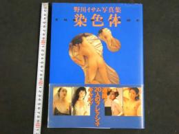 ８　野川イサム写真集　染色体
