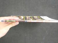 ４　新生ニャン²倶楽部　淫妻ストーリーズVol.3　オール新作投稿DVD付き！　誌面もDVDも全員人妻専門誌！！