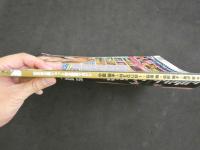 ４　Dr.ピカソNG　8月号　幻の非公開ショット完全収録マガジン　小倉優子・MEGUMI・萩原舞・風野舞子・黒沢愛　他