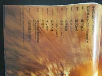 ４　甲斐智枝美写真集　「つれてって」