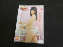 ６　ミニ♥エル　川越あかり　１６歳　ジュニアアイドル　イメージDVD