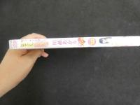 ６　ミニ♥エル　川越あかり　１６歳　ジュニアアイドル　イメージDVD