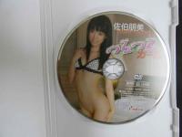８　佐伯朋美　つるつるガール　70分　R-15　イメージDVD