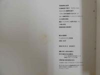 ４　樋口可南子／マイケル・ライト　「ベッドタイムアイズ」写真集