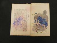 ６　5　太閣記英雄博　錦絵文庫　歌川国芳画　日本美術同好会　大正９年再版　木版彩色刷　１冊