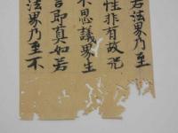 5　5　経切　大般若経　鎌倉時代写　約25×9㎝