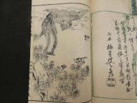 ４　5　潜龍堂画譜　瀧澤清画　花島之部