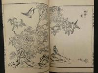 ４　5　潜龍堂画譜　瀧澤清画　花島之部