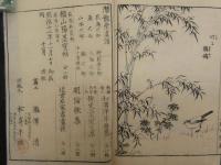 ４　5　潜龍堂画譜　瀧澤清画　花島之部
