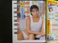 ４　ビデパル　VIDEPAL　2月号　今月発売のアダルトビデオが全部わかる本格派ビデオ情報誌