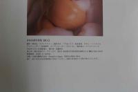 ４　冴島奈緒写真集　【愛人】