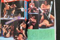 ８　新日本プロレスリング・マガジン　闘魂スペシャル　VOL.35　