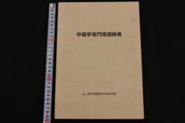 ４　中医学専門用語辞典　
