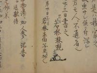 4　5 妙薬記　若林家代々伝来記　江戸末期頃写　３０丁