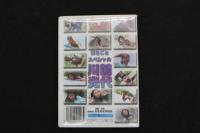 5　ジュニアアイドル　イメージDVD　まるごとスペシャル6　川前光代　12歳