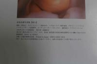 ４　冴島奈緒写真集【愛人】
