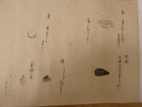 ６　８　顕微鏡観察図（仮題）　江戸後期頃写　絵本墨書　約26×219cm　1巻桐箱入