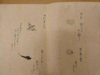 ６　８　顕微鏡観察図（仮題）　江戸後期頃写　絵本墨書　約26×219cm　1巻桐箱入