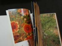 ８　内海和子写真集　from PHOENIX　