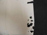 2  5　狂歌　俳諧　摺物　緞幕　木版彩色刷