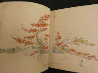 2  ４　立花図　江戸初期　池坊専養　他　木版手彩色95図