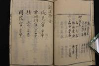８　5　年々改正　雲上明覧大全　上下巻　全2冊　名鑑