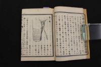 ６　5　切断法　本編　土岐頼徳纂輯