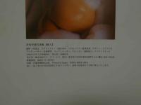 ８　冴島奈緒写真集　愛人