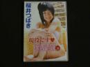 ８　松井つばき　現役です♡　55分　R-15　DVD