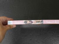４　叶夢あいるDVD　Pastel　パステル　80分