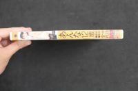 5　ジュニアアイドル　イメージDVD　あんな12歳　撮影・監修：会田我路