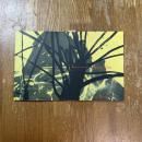 シュテファン・シュピーヘル［BLOSSOM]展