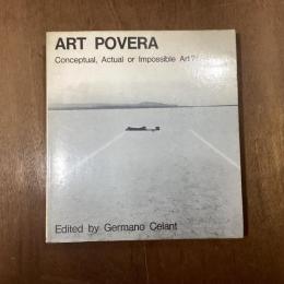 Art Povera.  Earthworks, Impossible Art, Actual Art, Conceptual Art.