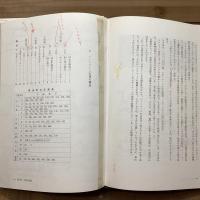 バーミヤーンの石窟