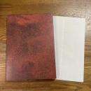 ダニ・カラヴァン展